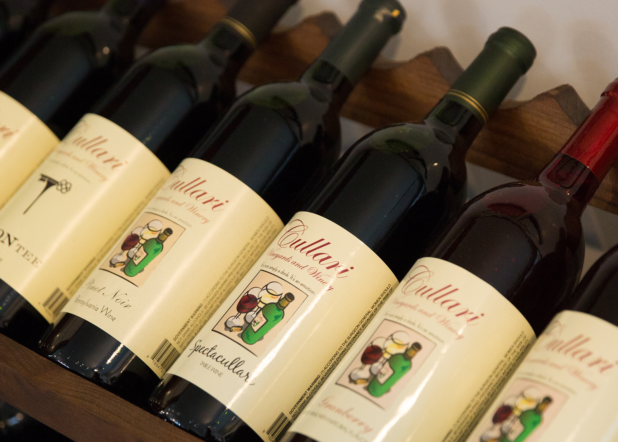 Wine Tasting Room | Cullari Vineyards & Winery | Bricker Village